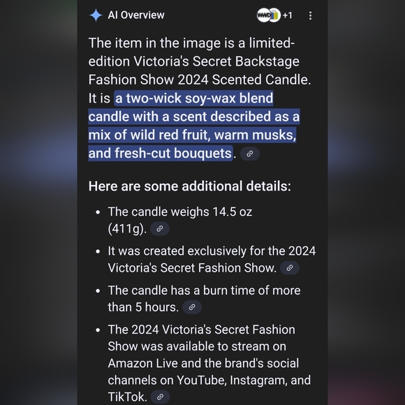 Limited edition Victoria's Secret 2024 Backstage Fashion show-Pink - Picture 2 of 12
